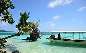 傳帛琉總統將來台宣布旅遊泡泡 擬每週各飛8班