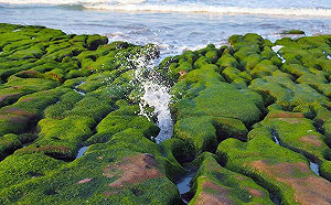 春季限定網美最愛！老梅綠石槽禁踩踏最高罰10萬