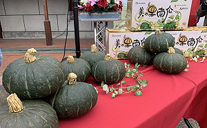 台灣農產品傳捷報！栗子南瓜外銷馬國供應高端市場