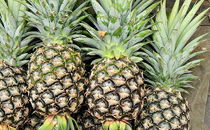 鳳梨別直接用生鹽水洗!開水加「它」泡3分:香甜不咬舌