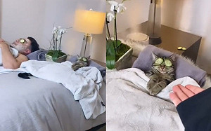 回家發現貓與丈夫爽做SPA 妻子:開什麼國際玩笑?