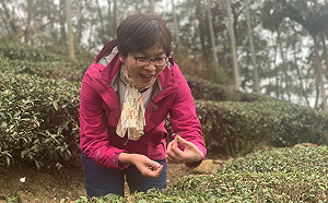 痛批政府「臨渴鑿井」  蔡壁如主張: 依法開徵耗水費