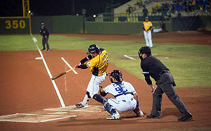 暌違3年  中職官辦棒球賽嘉義開打