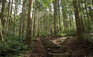 3/20開始登記!桃園推住房補助每人最高省2千