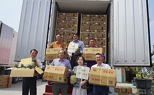 中國禁台灣鳳梨適得其反  屏東銷韓國倍數成長