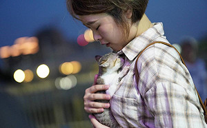 白色情人節 新北快閃認養毛寶貝歡迎熱情參與