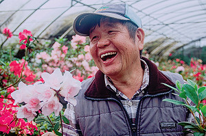 白色情人節將屆 新北萬金杜鵑鄉影片浪漫上線