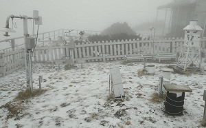 (影)玉山今午後再飄3月雪!積雪0.7公分夢幻景象曝光