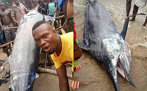 漁夫釣大魚請全村吃!吃完秒掉地獄