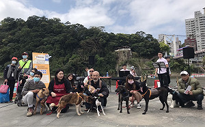 白色情人節認養毛寶貝   新北動保處碧潭辦另類浪漫音樂會