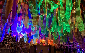 迎接灰面鵟鷹  「吉光片羽」八卦山展出 打卡送小提燈