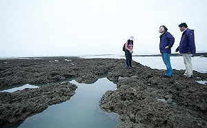 鄭運鵬控帶頭踩藻礁 陳玉珍Po蔡英文照:也大力譴責一下蔡總統吧!