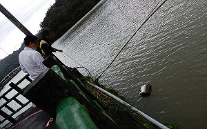 新北科技執法再立功  環保局逮獲畜牧場排污水