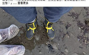 鄭運鵬罵藍委踏藻礁 孫大千：沒知識也沒常識丟人現眼