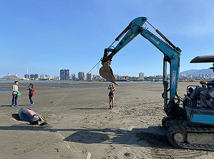 新北強化海洋生物救援   簽訂全國首張鯨豚海龜救援野放契約