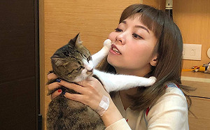 嘆台灣喜劇難發展 龍龍強硬回擊藍委:想想被你傷害的多元性別朋友