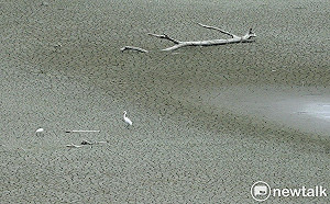 缺水嚴重!全台3水庫蓄水率跌破10%  這6水庫也告急