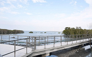 彰化踏青新景點!芳苑濕地超美海空步道暑假開放