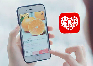 拼多多超越阿里巴巴成中國最大電商！董事長卻宣布辭職