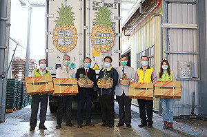 優質鳳梨啟運外銷日本  黃偉哲有信心被日本民眾一掃而空