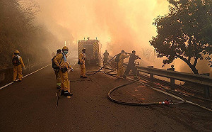 阿里山森林大火連燒3天!山上住宿旅客大砍5成