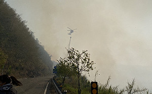阿里山大火持續延燒 林管處課長遭落石擊中送醫