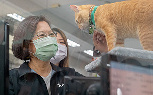 小英探班貓站長「蜜柑」 肯定捷運站結合在地特色發展觀光