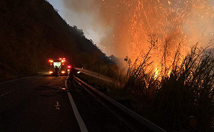 阿里山森林大火下午5時控制  遊客往信義鄉方向疏散
