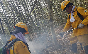 阿里山森林大火造成邊坡裸露  台18線22日起管制