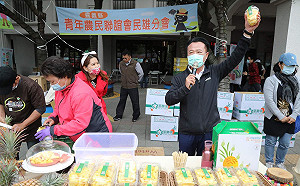 拼鳳梨行銷  嘉縣政府搶佔國道服務區熱點