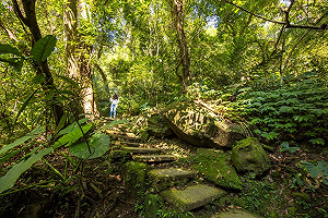 三峽大板根森林溫泉酒店兒童月活動登場  12歲以下兒童免費入園