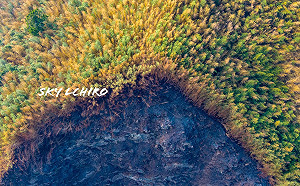 火燒阿里山近百小時  攝影團隊空拍災後驚悚畫面曝光