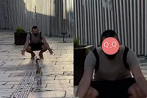 (影)土耳其男遇貓開心蹲！結局卻「超悲慘」 網：聽見心碎的聲音