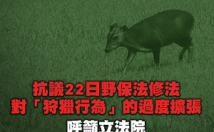 《野保法》初審通過 原住民傳統獵具打獵不受限 動保團體抗議特權