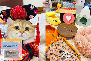 (影)後宮貓窩三千！傲嬌貓皇全不選：朕就愛這個！