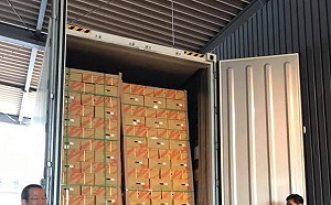 國內農用紙箱每月缺67萬個！農委會：協調3大紙廠優先供應