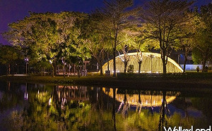 2021月津港燈節來了！