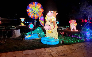 71座花燈浪漫登場！金門星光節2大燈區展至5/30