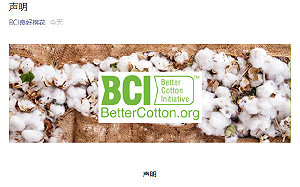 內部鬧分裂？BCI上海代表處發聲明：從未在新疆發現強迫勞動事件