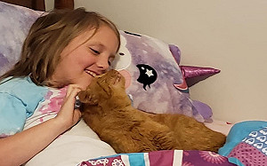 橘貓偷溜進屋與女兒一起躺床　媽驚：這不是第一次？