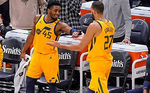 NBA／引擎故障！猶他爵士包機遭鳥擊　所幸無人傷亡(影)