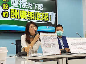 點名蔡政府「千歲酬庸團」 藍黨團怒控：酬庸無底限