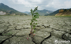 德基水庫直逼4%！苗、中、北彰化今起供五停二 中南部水庫紛創新低