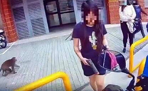 中山大學生和猴子鬥智 外送取餐竟配「槍」農業局 : 保護財產 未觸法