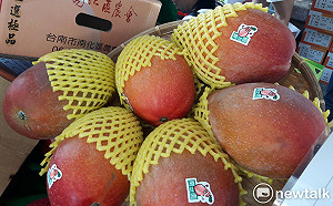 電商透露中國芒果6月銷日！台灣愛文受衝擊？農委會回應了
