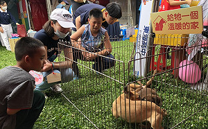 這不是愚人節！新北植晶片打狂犬病疫苗認養還摺氣球 全部免費