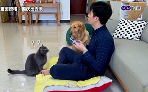 (影)鏟屎官假裝看不見毛小孩　貓狗遭惡整反應萌翻眾人