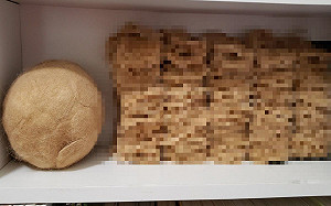 以為是「豆包」？推主蒐集橘貓四年的廢毛　網一看全驚呆！