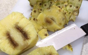 外銷鳳梨近3%黑心不甜！陳吉仲道歉：補償新加坡超市12公噸