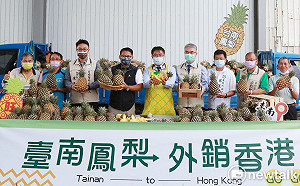 一萬公斤鳳梨啟運銷往香港 黃偉哲期勉顧好品質訂單旺向國際